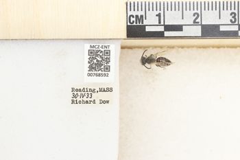 Media type: image;   Entomology 768592 Aspect: Labels